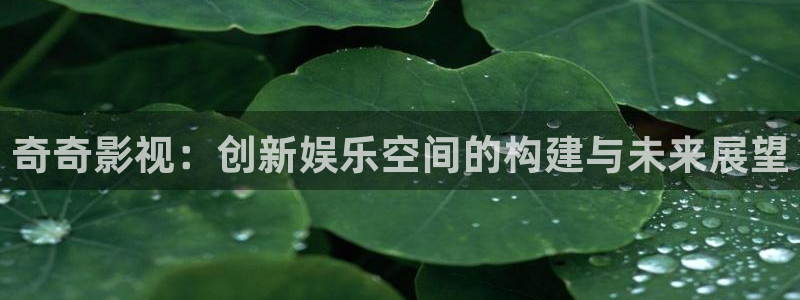 小木瓜电影