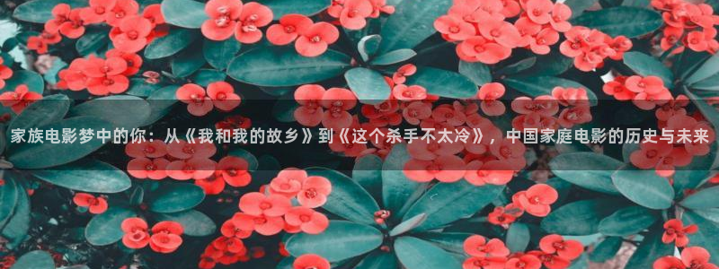 木瓜电影免费观看