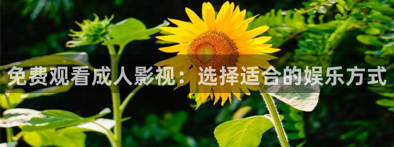 木瓜电影播放器