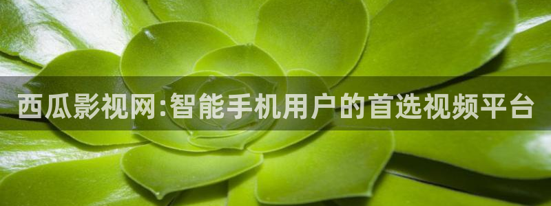 木瓜电影院电影