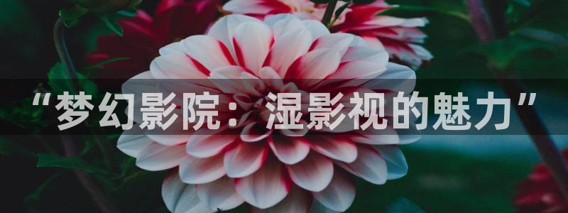 木瓜电影了