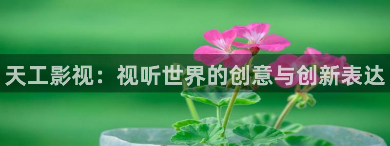 木瓜电影网在线