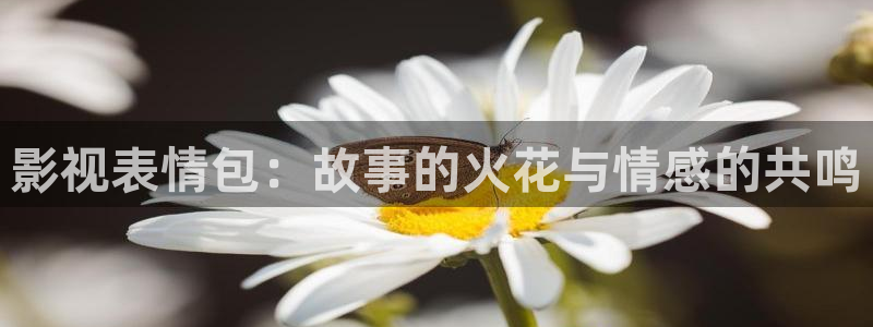 木瓜福利电影：影视表情包：故事的火花与情感的共鸣
