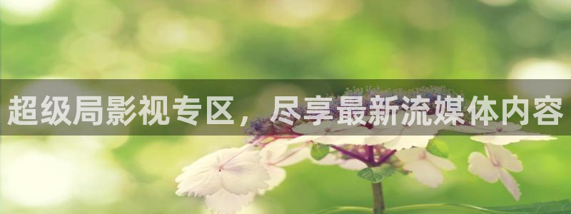 木瓜电影网：超级局影视专区，尽享最新流媒体内容